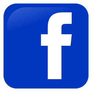 facebook logo button